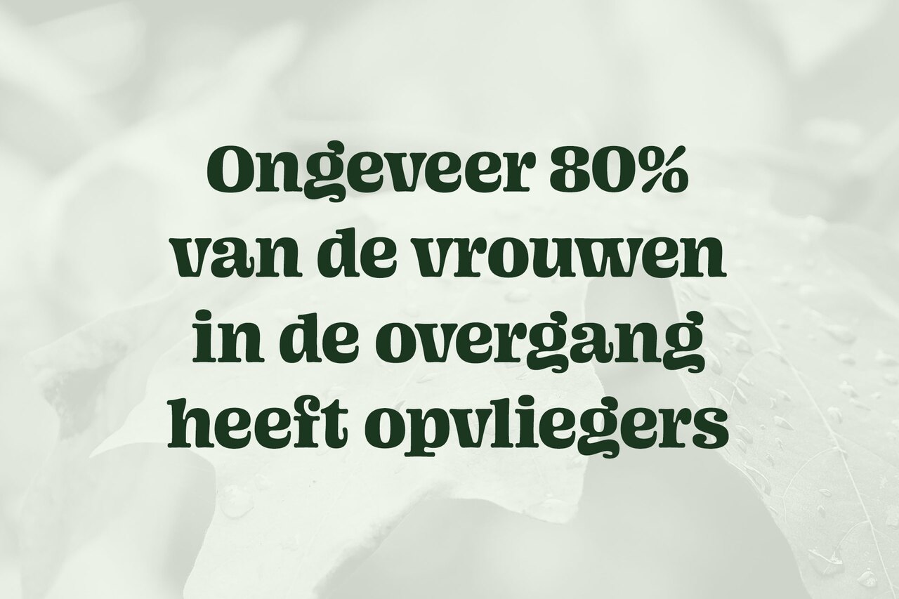 Opvliegers